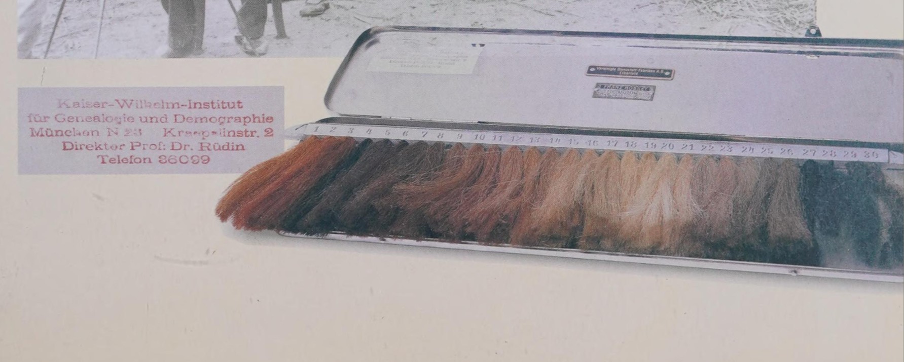 anthropologic hair color chart used by German anthropologists including Dr Josef Mengele and Dr. Otmar von Verscheur