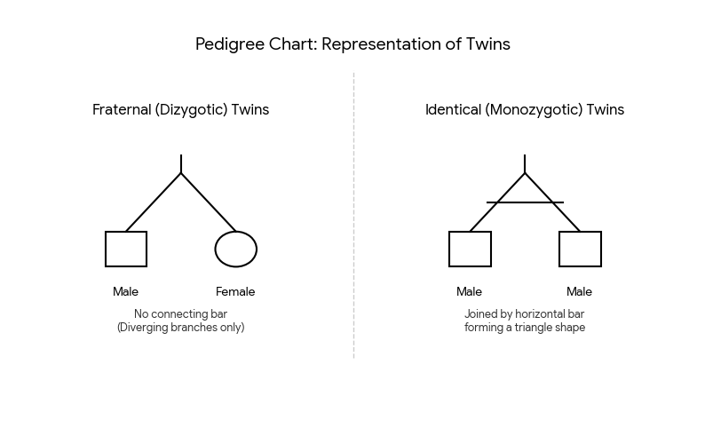 twin-mechau-dr-josef-mengele-doctor twin mechau dr josef mengele doctor