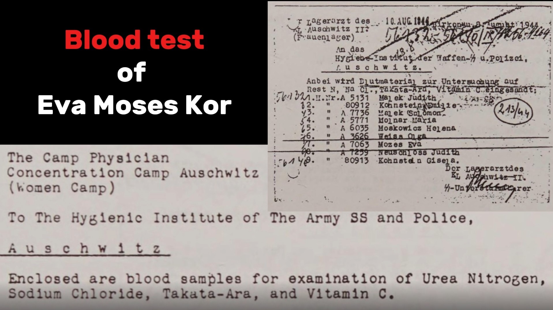 eva-moses-kor-blood-test eva moses kor blood test