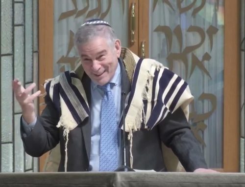 Rabbi Michael Berenbaum, PhD – in Talmudic studies